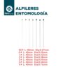 Alfileres Entomológicos - Imagen 2
