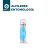 Alfileres Entomológicos - Imagen 4