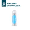 Alfileres Entomológicos - Imagen 3