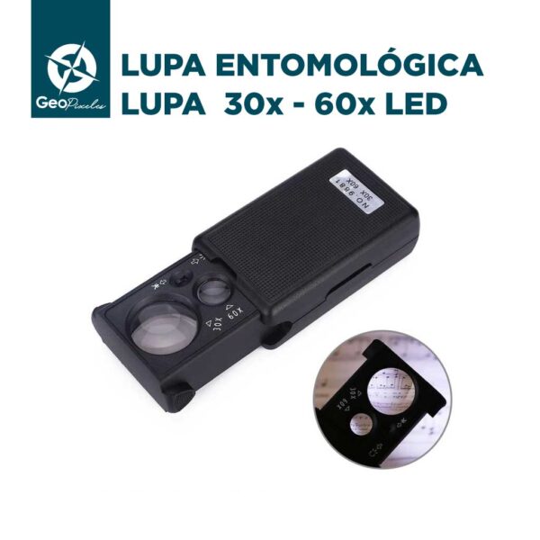 Lupa Entomológica 30x - 60x LED