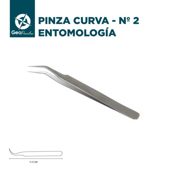 Pinza curva Nº 2 - Entomología