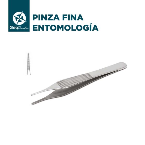 Pinza fina con diente - Entomología