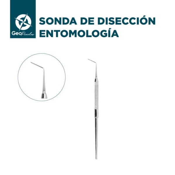 Sonda de disección - Entomología