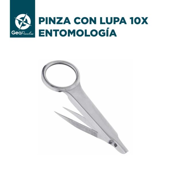 Pinza con lupa 10x - ENTOMOLOGÍA