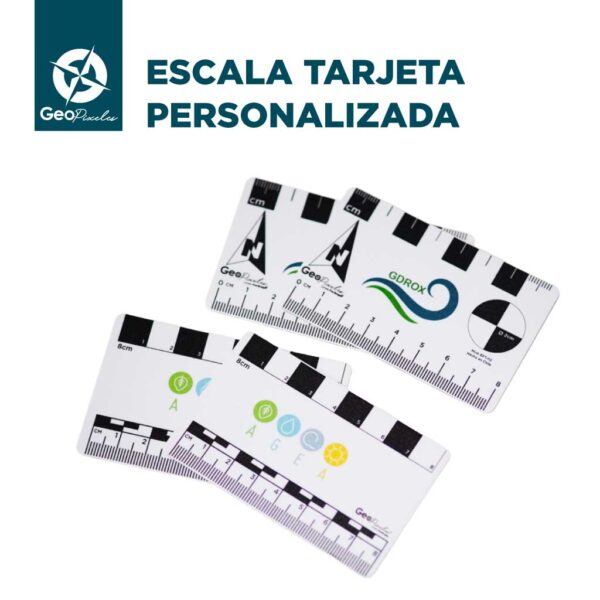 Escala tarjeta personalizada - Imagen 2